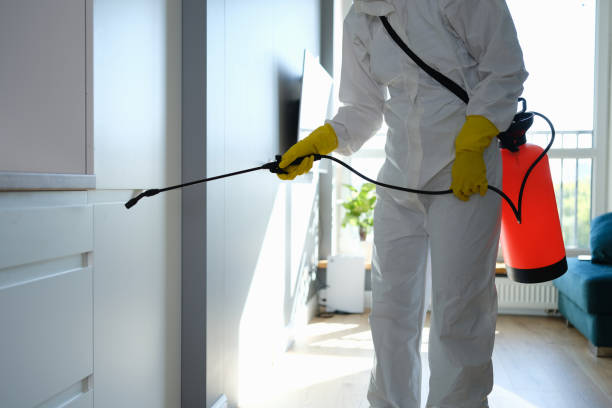 Best Industrial Mold Remediation in Lake Los Angeles, CA